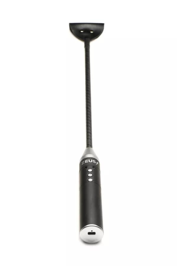 Electro-Stimulation Whip Electro-Stimulation Whip