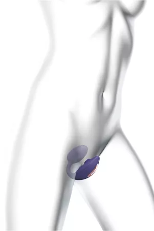 Double stimulateur Wonderlover violet - Love to Love
