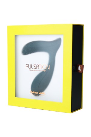 Vernetzter Prostatastimulator Pulsation - Adrien Lastic