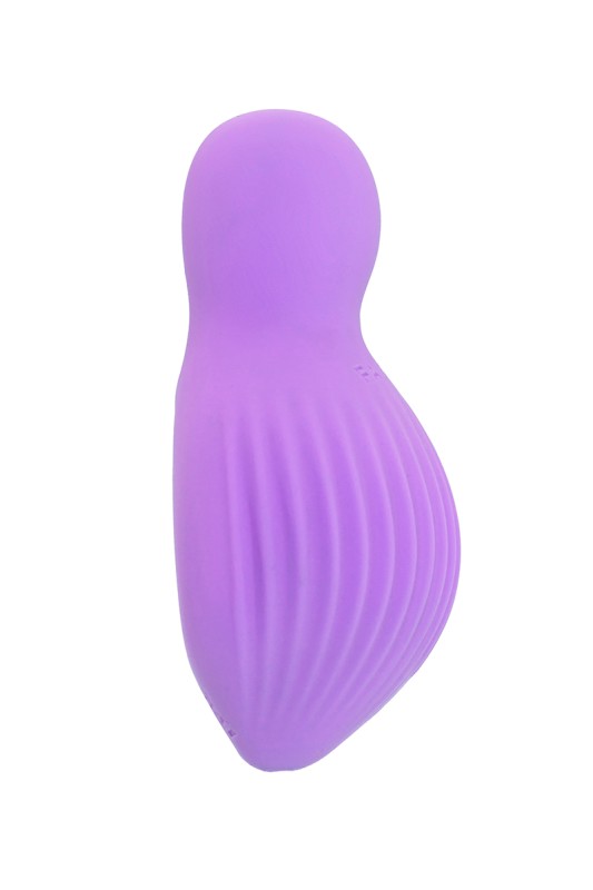 Fairygasm EnchantedDesire vibrator purple shown from new angle, refined details