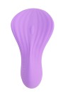 Fairygasm SilkenTouch clitoral stimulator purple
