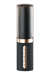 Stimulateur Satisfyer Pro 2 Kiss – fermé, vue frontale élégante