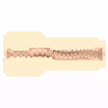 Fleshlight Fantasy Sasha Nakamoto – full profile of the sleeve