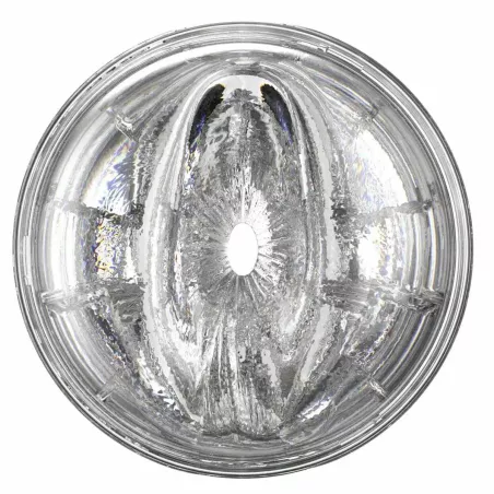 Close-up of vaginal orifice