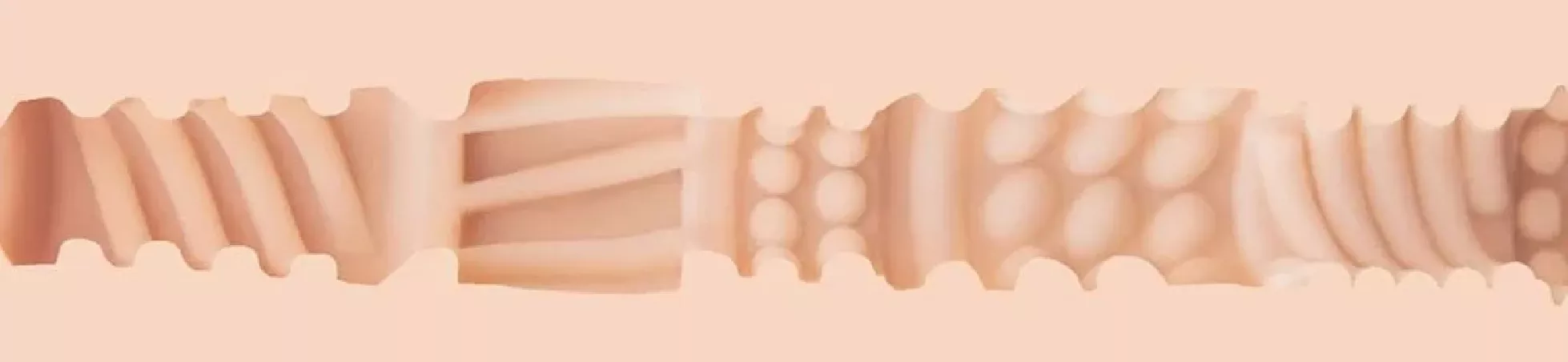 Fleshlight Eva Lovia – Side view of internal sleeve texture