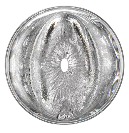 Fleshlight Quickshot Stoya – Close-up of the anal opening