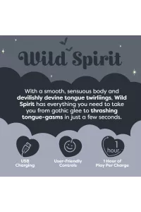 Information sheet – care, charging and usage tips for Wild Spirit Unihorn