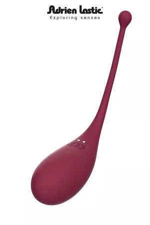 Vibrating egg and clitoral stimulator connected - Inspiration