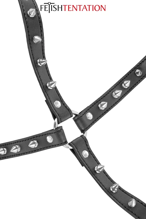 Brustgeschirr mit Spikes
