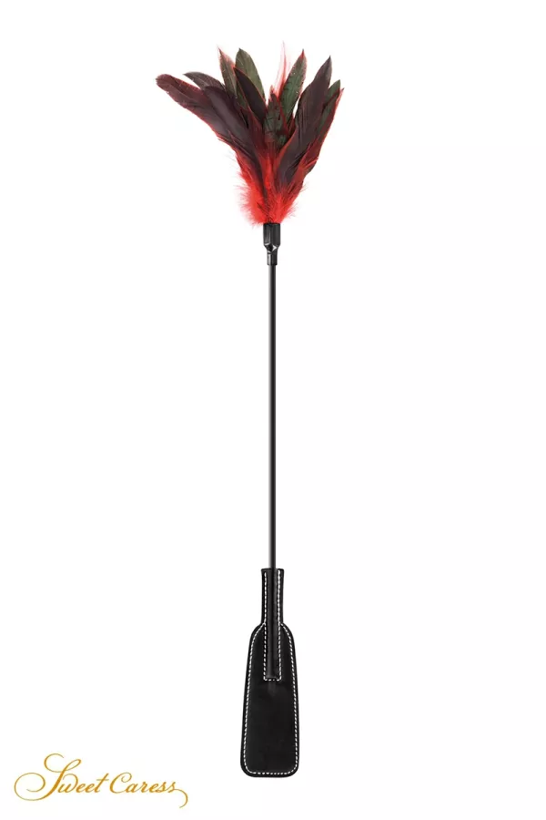 Scacciamosche rosso e nero Scacciamosche rosso e nero