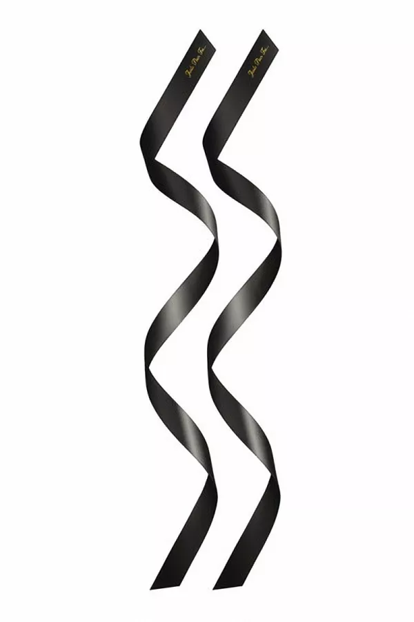 2 collegamenti BDSM satinato nero 2 collegamenti BDSM satinato nero