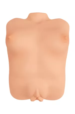 Vagina- und Brustmasturbator