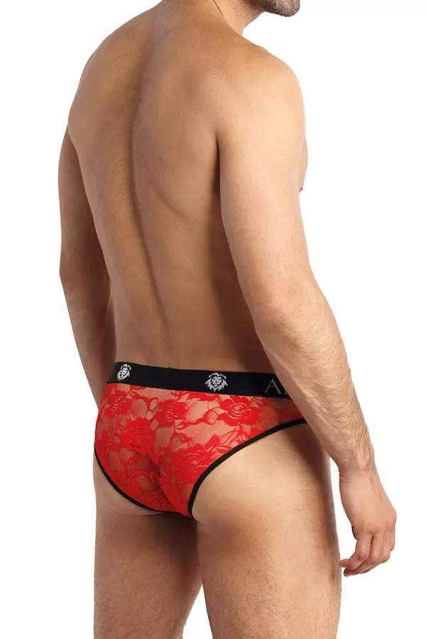 Brave Brief