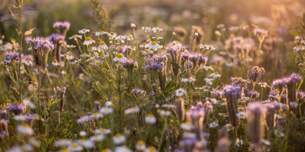È normale non avere voglia di fare sesso?